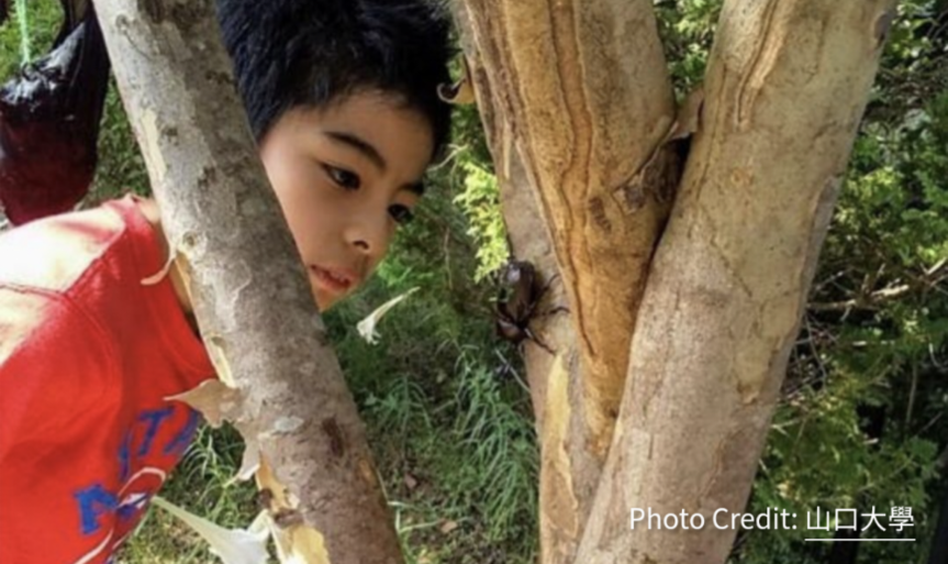 【明明是哲學課，但是我們先學 觀察表達 和&nbsp;記錄】