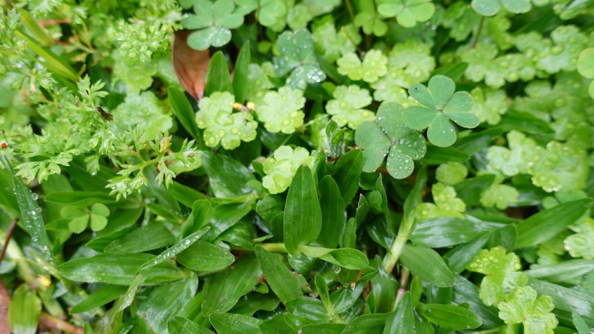 往成為小朋友觀察家的路途